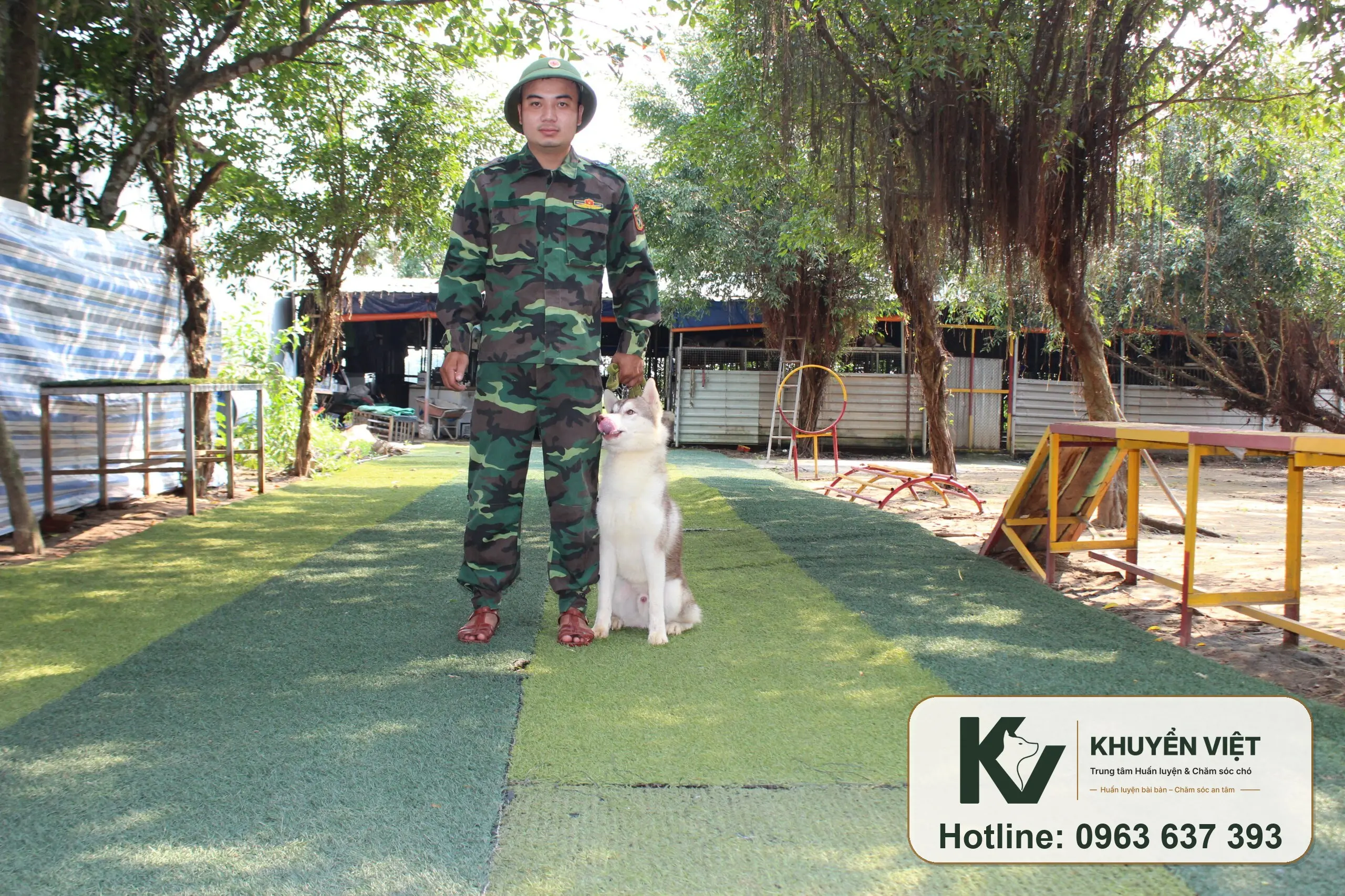 Huấn luyện chó Husky tại KHUYỂN VIỆT