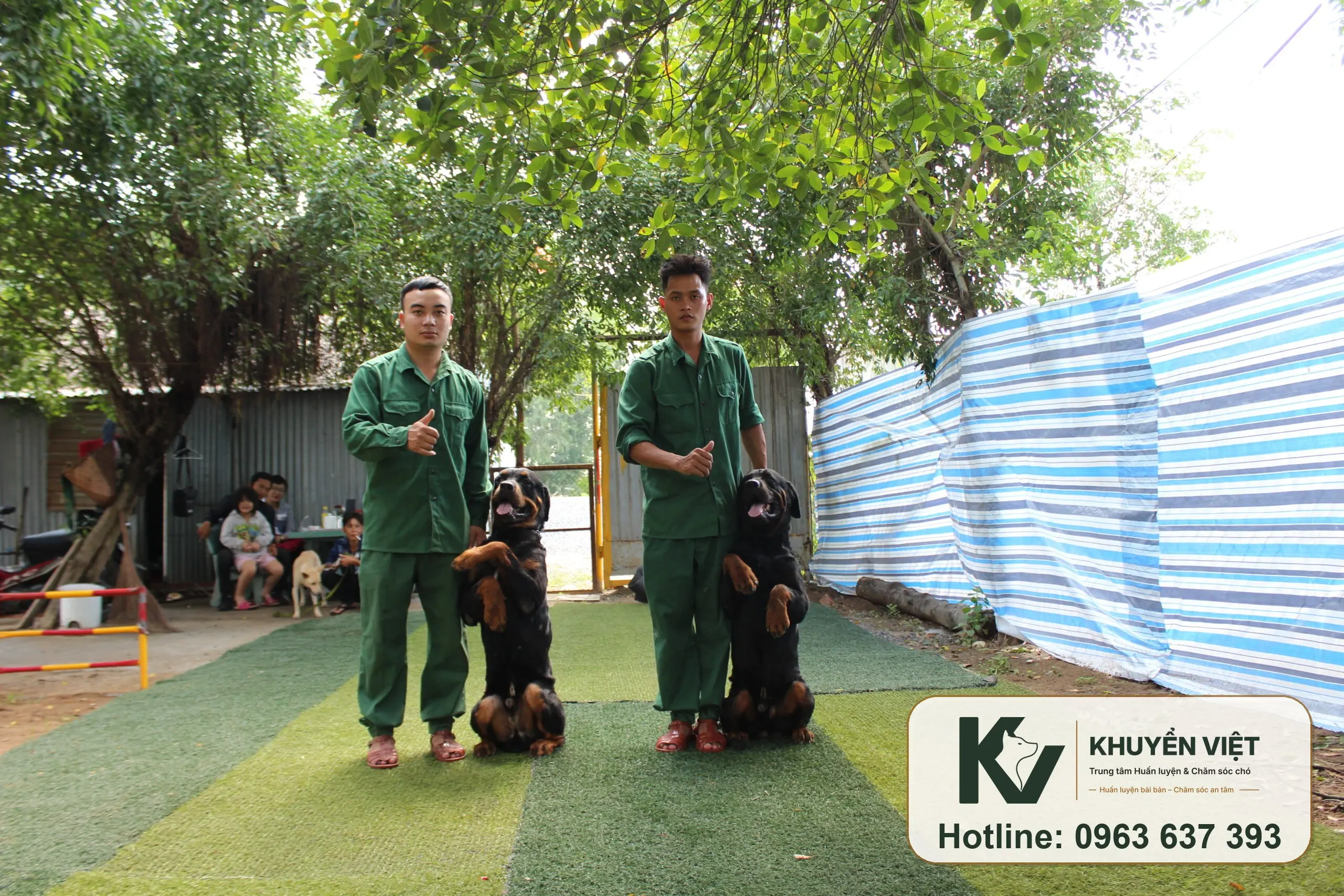 Huấn luyện chó Rottweiler tại KHUYỂN VIỆT