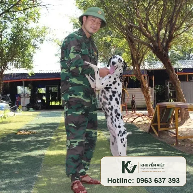 Phối giống chó Đốm tại KHUYỂN VIỆT